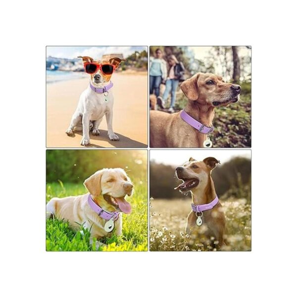 Collar ajustable para perro con soporte para Airtag