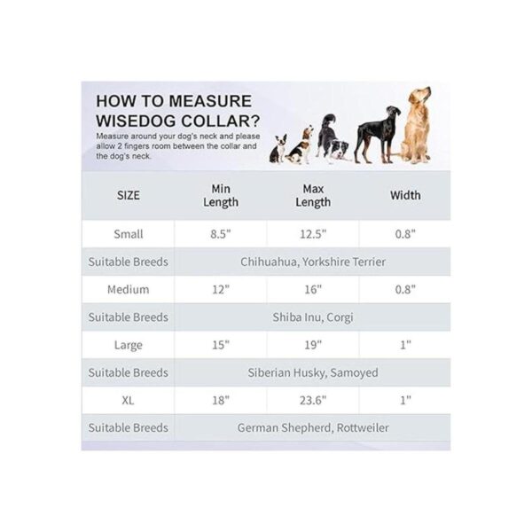 Collar ajustable para perro con soporte para Airtag