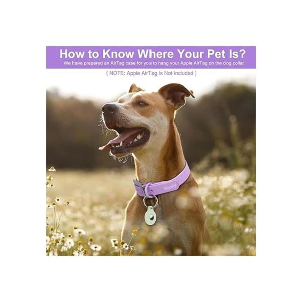 Collar ajustable para perro con soporte para Airtag