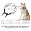 Wiotar Collar de pinza para perro collar de entrenamiento_5
