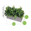 Planta de eucalipto artificial en maceta rectangular