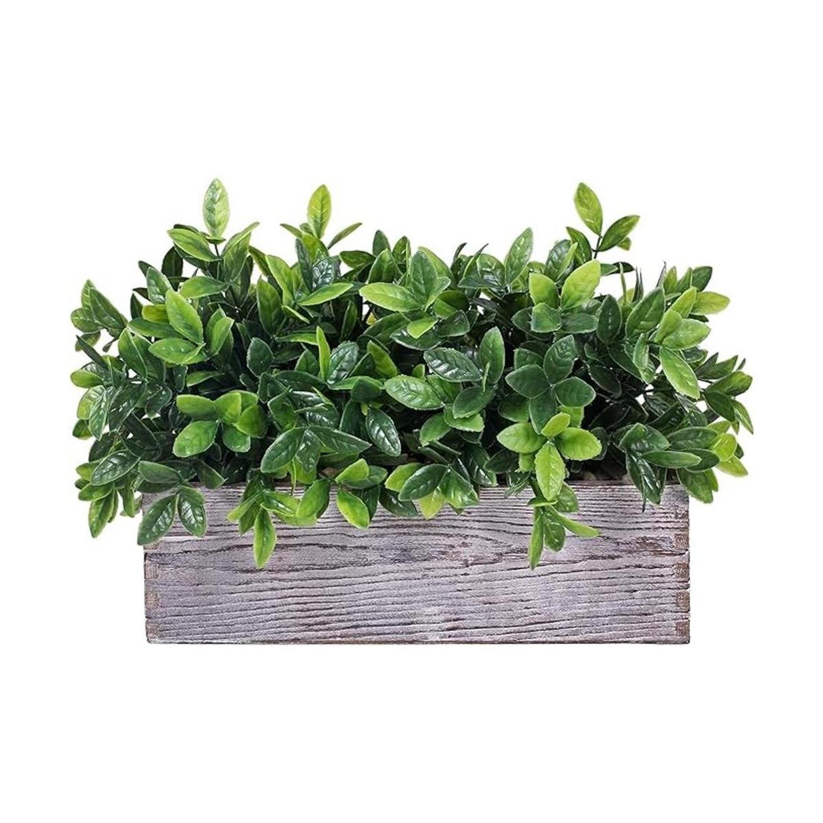 Planta de eucalipto artificial en maceta rectangular