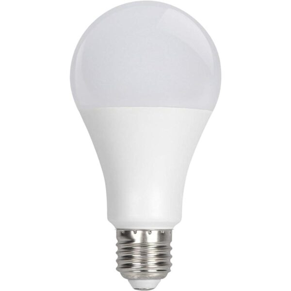 Performance Tool W2283 Bombilla LED 15 W 120 V 1500_1