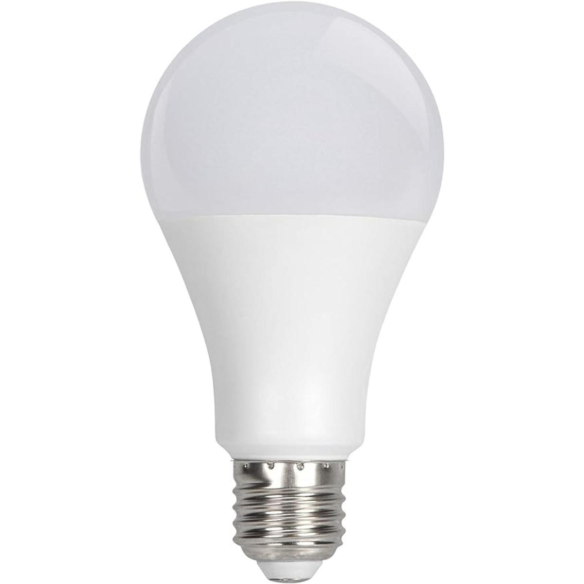 Performance Tool W2283 Bombilla LED 15 W 120 V 1500