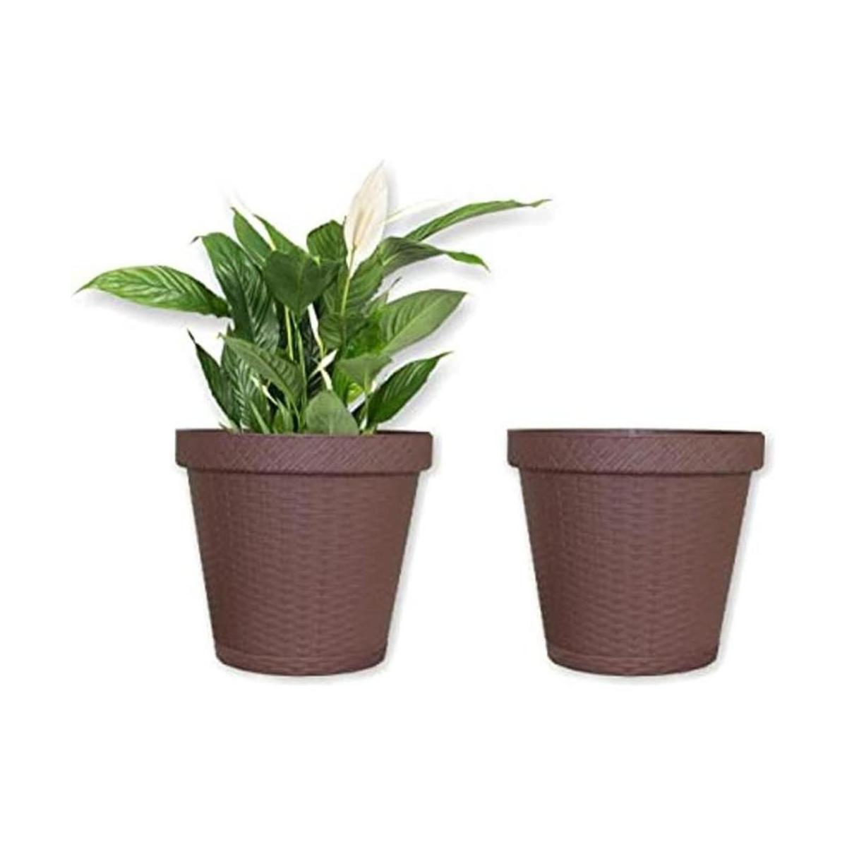 Juego de 2 platillos redondos de 10 pulgadas platos
