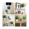 Whonline 2 piezas pequeñas plantas falsas plantas_6