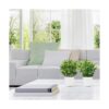 Whonline 2 piezas pequeñas plantas falsas plantas_5
