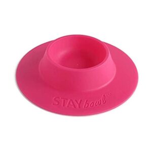 staybowl tipproof Pet Bowl ergonómico para Conejillo de_1
