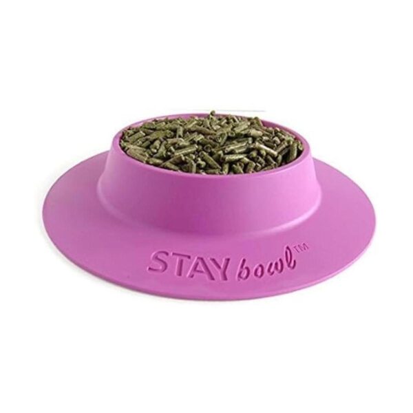 staybowl tipproof Cuenco para conejillos de Indias y_2