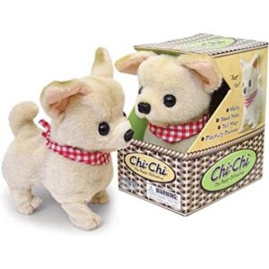 Chihuahua ChiChi_1