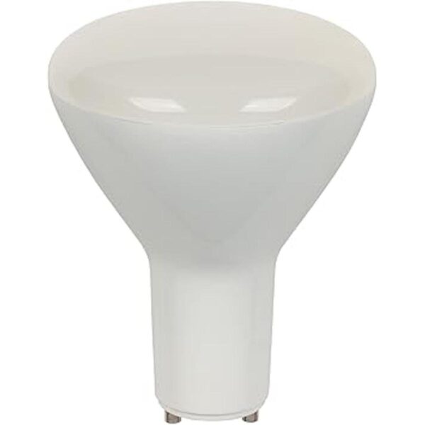 Westinghouse Lighting 3315900 Bombilla LED R30
