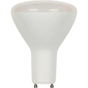 Westinghouse Lighting 3315900 Bombilla LED R30