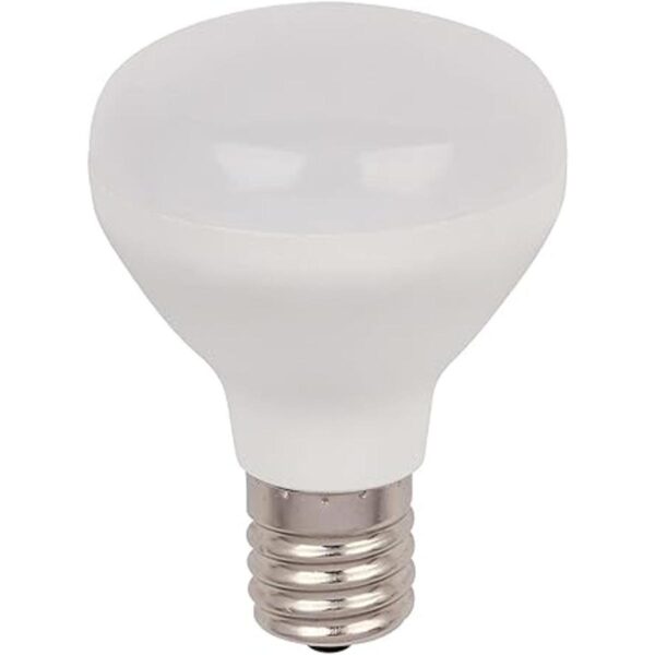 Westinghouse Lighting 4515400 Bombilla LED 25 W