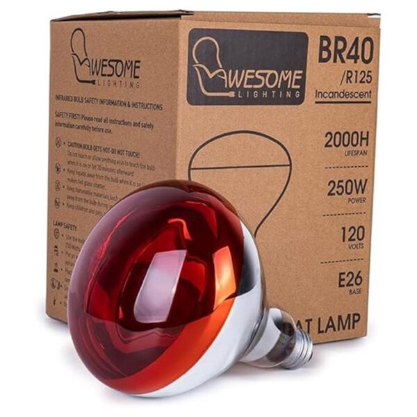 Lámpara de calor incandescente foco infrarrojo de 250 W_2