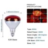Lámpara de calor incandescente foco infrarrojo de 250 W_4