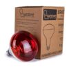 Lámpara de calor incandescente foco infrarrojo de 250 W_3