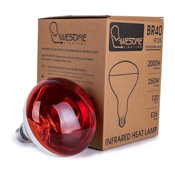 Lámpara de calor incandescente foco infrarrojo de 250 W_3