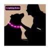 Collar de perro con luz LED 3 unidades recargable por