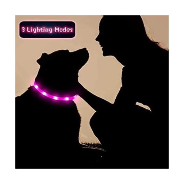 Collar de perro con luz LED 3 unidades recargable por