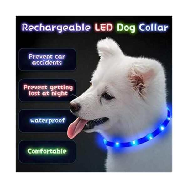 Collar de perro con luz LED 3 unidades recargable por