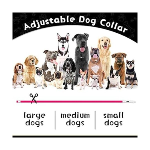 Collar de perro con luz LED 3 unidades recargable por