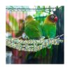 2 Pieces Bird Rope Net Hamster Rat Rope Net Small Animal