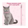 Weewooday 16 piezas de PU collar de gato ajustable pequeño
