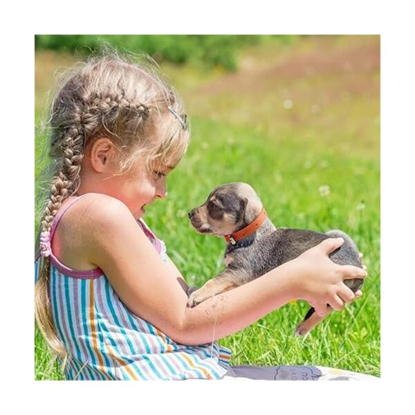 Weewooday 16 piezas de PU collar de gato ajustable pequeño