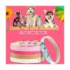 Weewooday 16 piezas de PU collar de gato ajustable pequeño