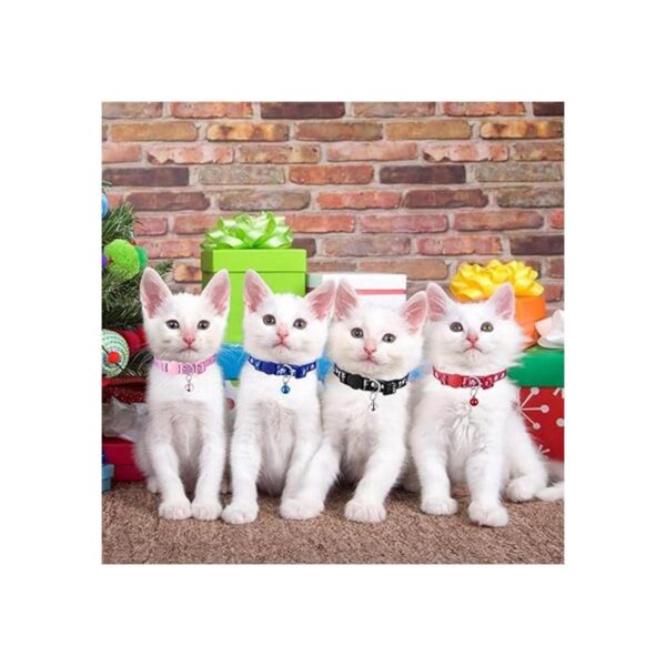 Weewooday Collar de gato de calavera de Halloween 4