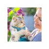 4 piezas de collar de pajarita para gato con campana_3