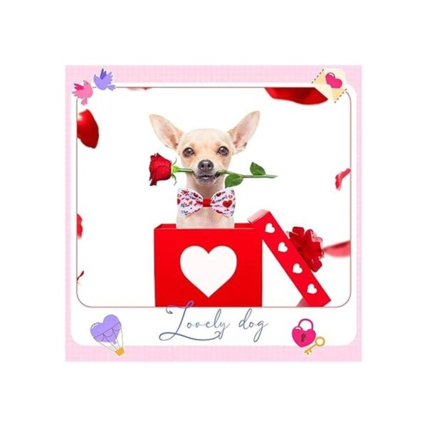 Juego de 30 corbatas para perro de San Valentín incluye