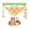 24 bandanas de sublimación en blanco para perros pañuelos