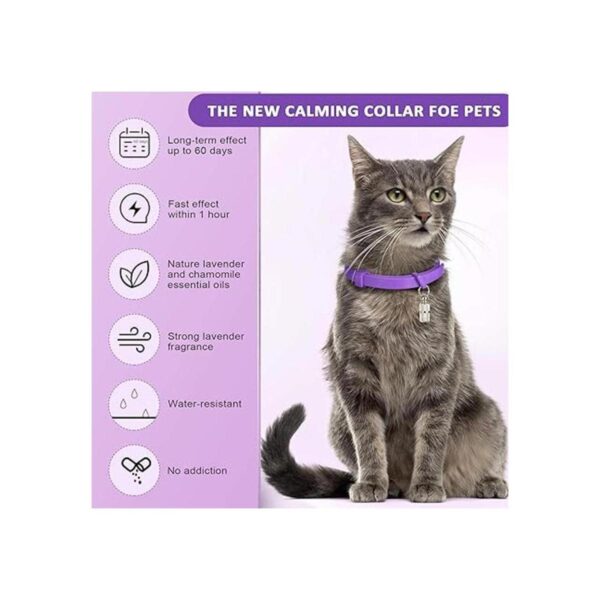 Weewooday Juego de 5 collares calmantes para gatos