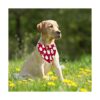 24 bandanas de sublimación en blanco para perros pañuelos