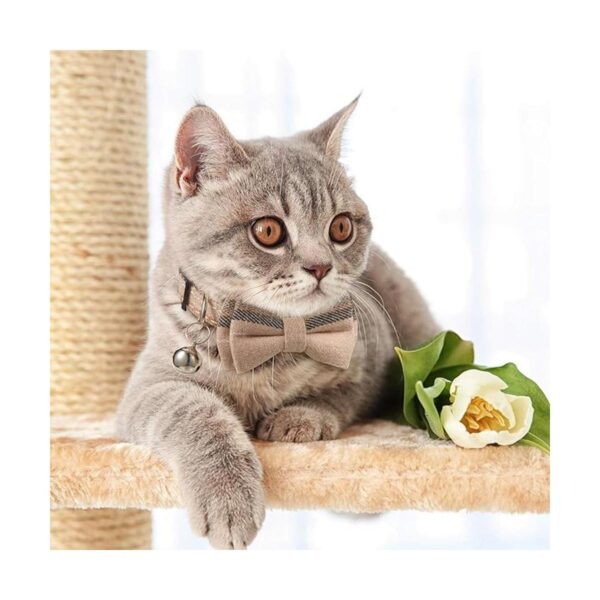 Bandana de 4 piezas con pajarita para gato con cuello de