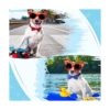 16 corbatas para perro lazos para el verano estilo