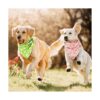 Bandana floral para perro 8 piezas diseño de flores