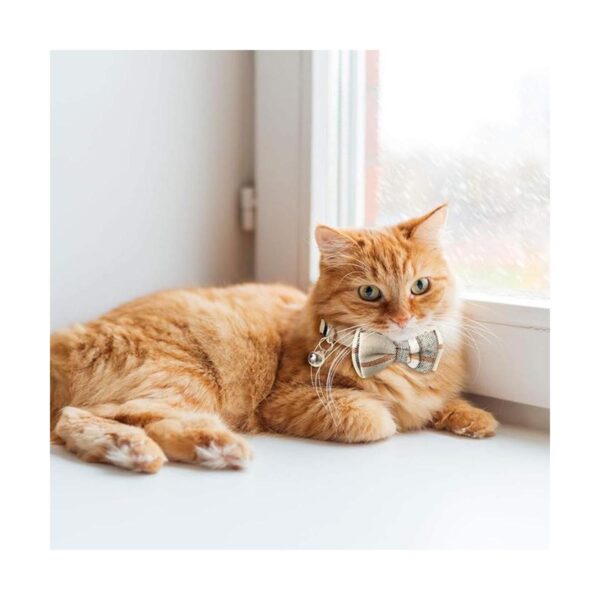 Bandana de 4 piezas con pajarita para gato con cuello de