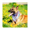 Bandana floral para perro 8 piezas diseño de flores
