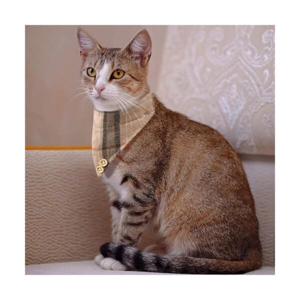 Bandana de 4 piezas con pajarita para gato con cuello de