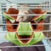 Hamaca colgante de 3 piezas para animales pequeños con