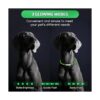 5 piezas LED collar de perro USB recargable luz para perro