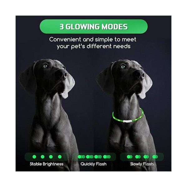 5 piezas LED collar de perro USB recargable luz para perro