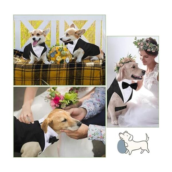 Juego de esmoquin y bandana para perros esmoquin formal
