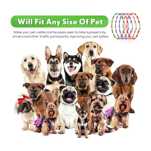 5 piezas LED collar de perro USB recargable luz para perro