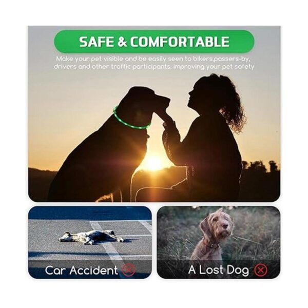 5 piezas LED collar de perro USB recargable luz para perro