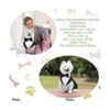 Juego de esmoquin y bandana para perros esmoquin formal