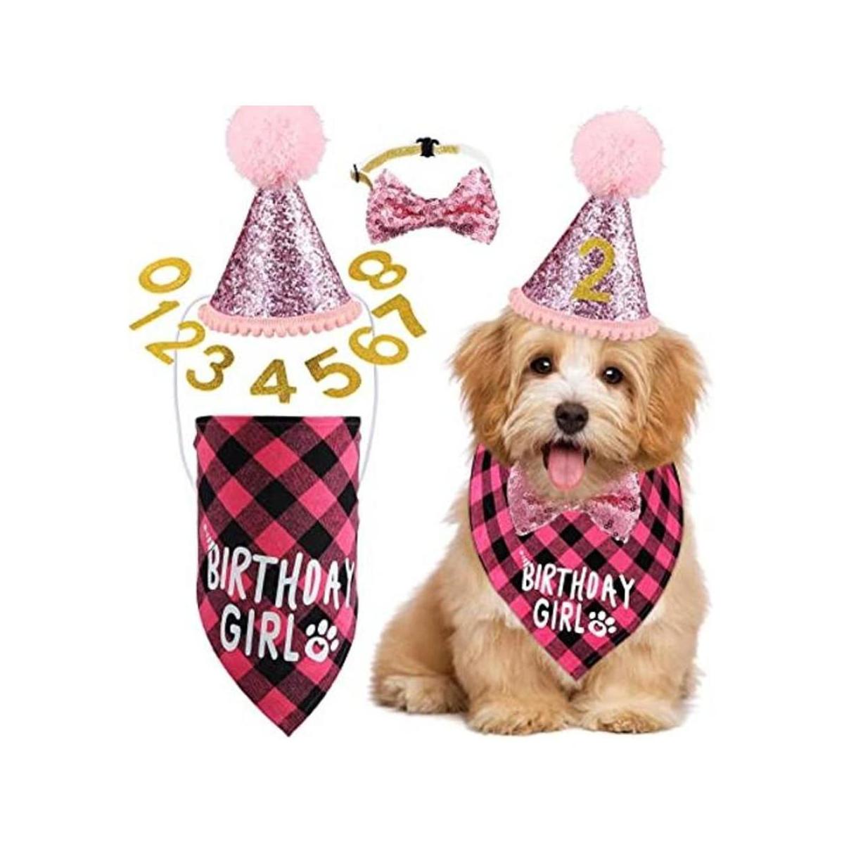 Suministros de fiesta de cumpleaños para perros niño y