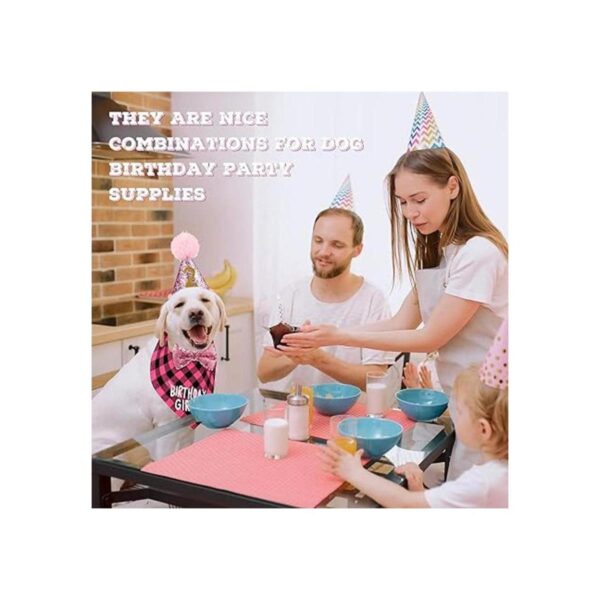Suministros de fiesta de cumpleaños para perros niño y